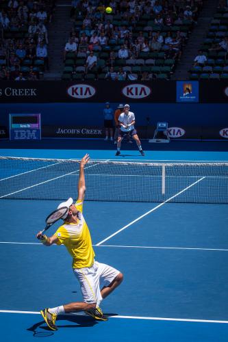 Tenis