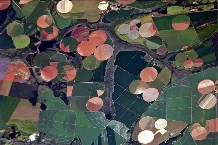 Agriculture in Brazil