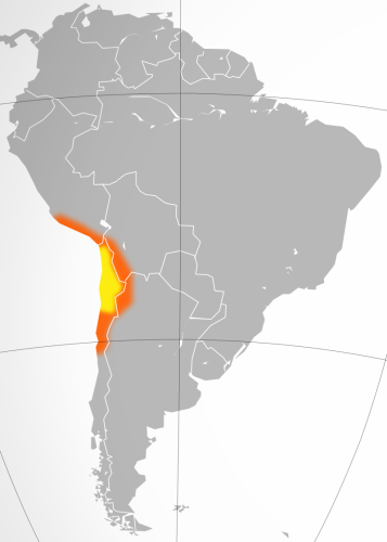 Désert d'Atacama