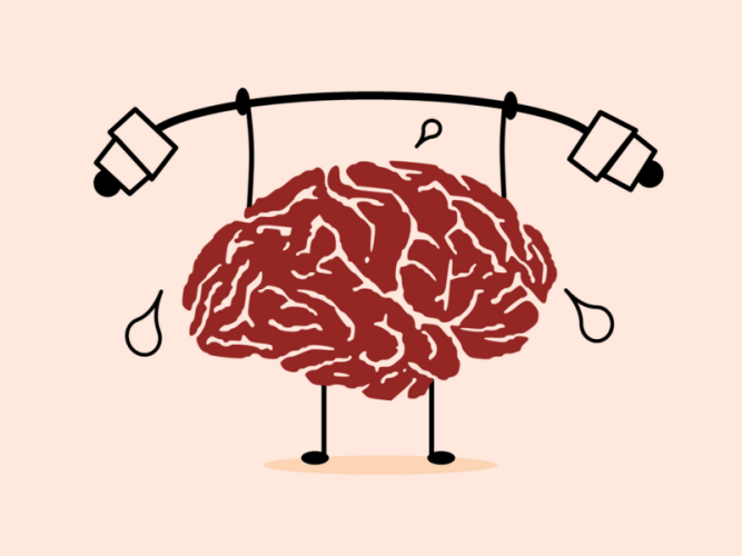 Brain training