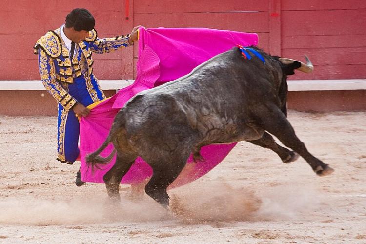 Bullfighting