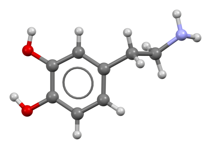 Dopamin