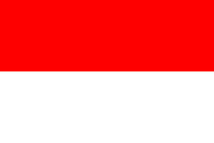 Indonesia at the 2021 SEA Games