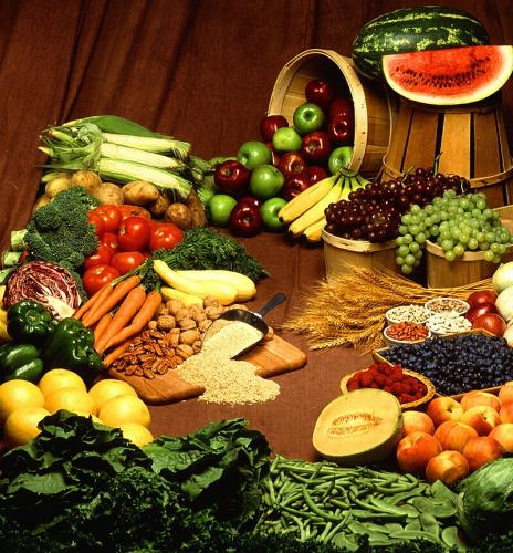 Ernährung des Menschen