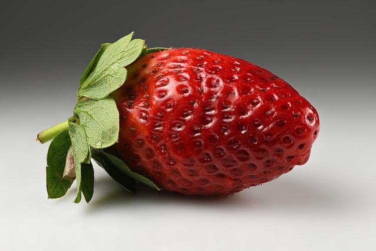 Fragola