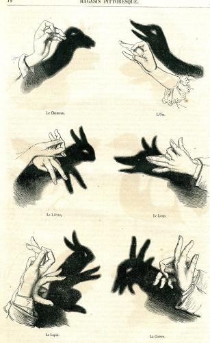 Shadowgraphy (performing art)