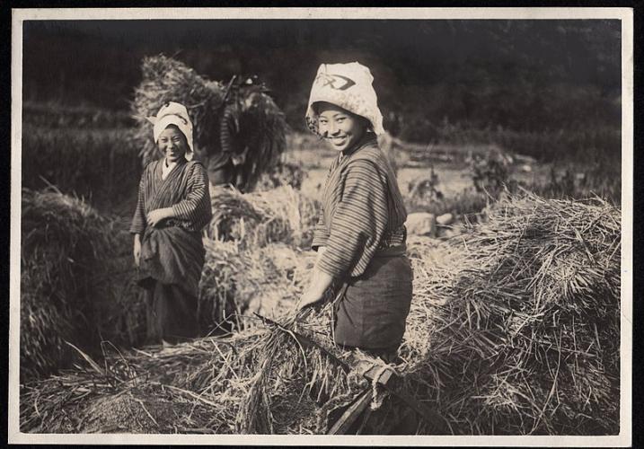 Mulheres na agricultura no Japão