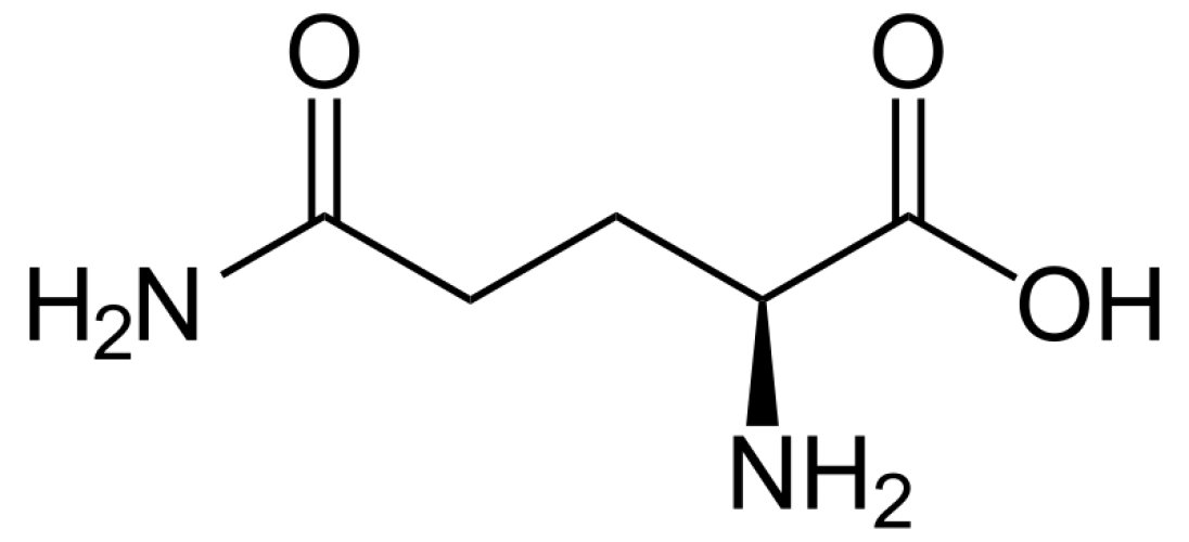 Glutammina