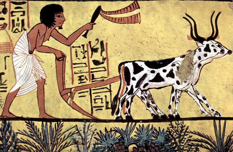 Agriculture