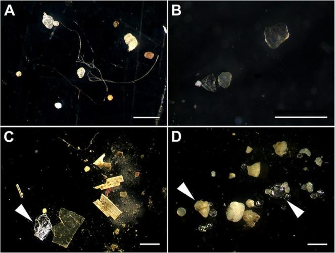 Microplastica