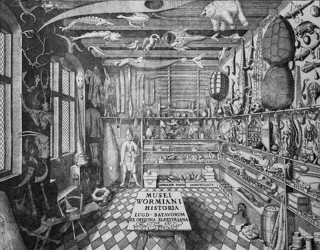 Wunderkammer