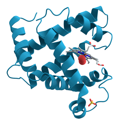 Biochemie