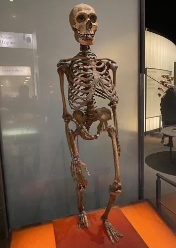 Neandertalczyk