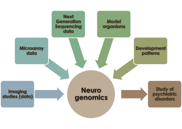 Neurogenomics