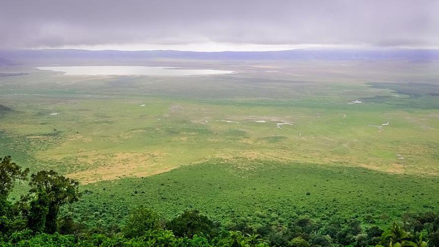 Zona de conservación de Ngorongoro