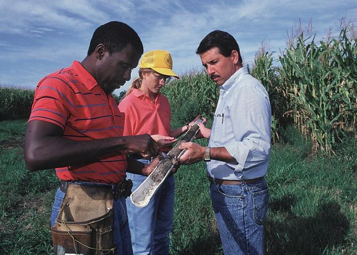 Plant nutrition