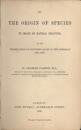 L'Origine des espèces
