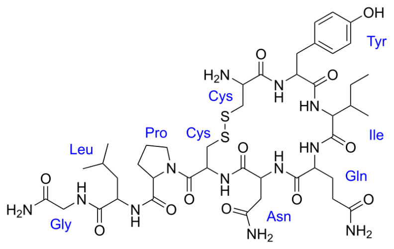 Ossitocina