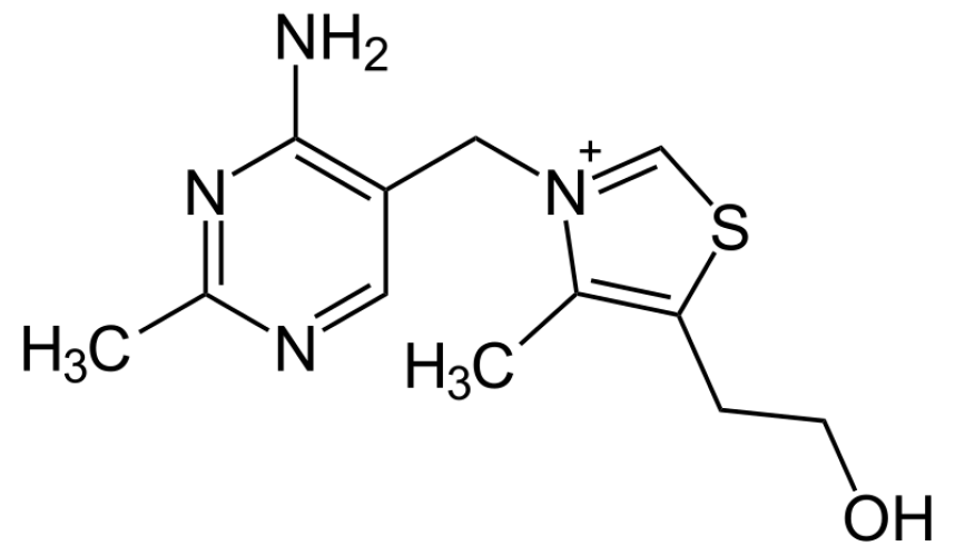 Witamina B1