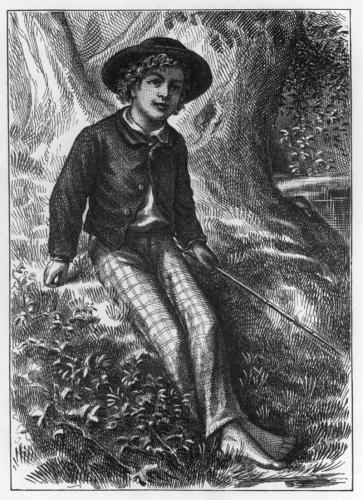 Tom Sawyer'ın Maceraları