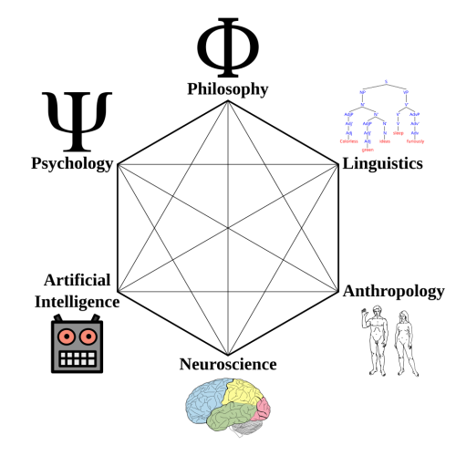 Scienze cognitive