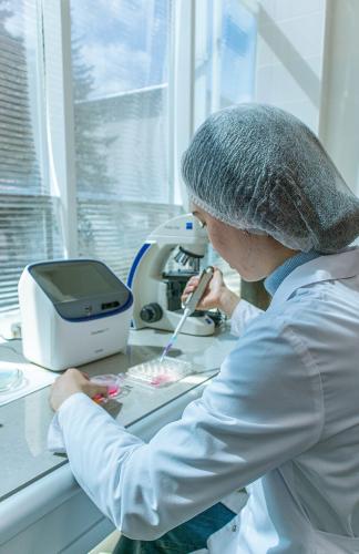 Biotecnología