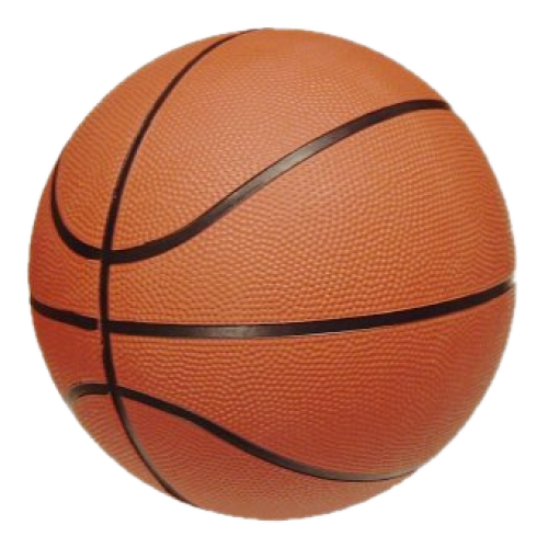 Pallone da pallacanestro