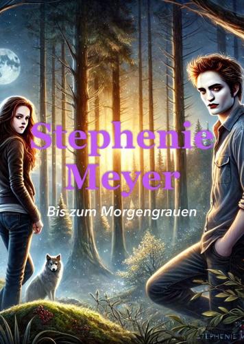 Book Twilight, summary (Bis(s) zum Morgengrauen) in German