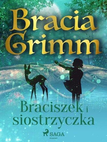 Buch Brüderchen und Schwesterchen (Braciszek i siostrzyczka) auf Polish