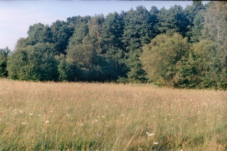 Prairie (agriculture)