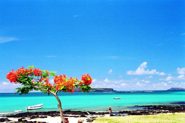 Mauritius Island