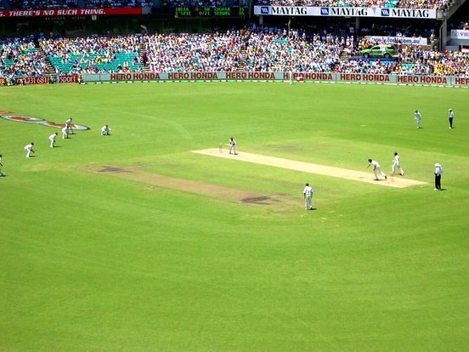 Cricket