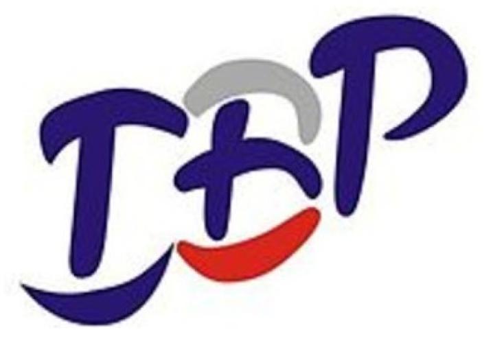 Democratic Choice of Russia