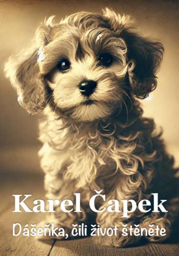Buch Daschenka oder Das Leben eines jungen Hundes, Zusammenfassung (Dášeňka, čili život štěněte) auf Tschechisch