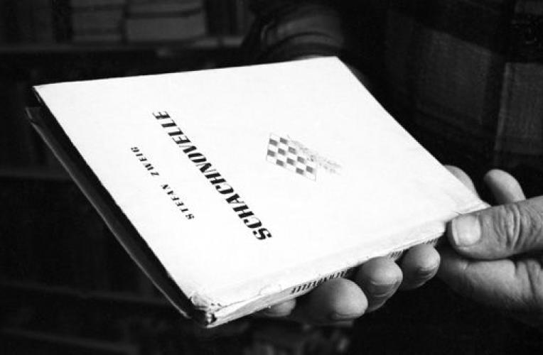Novela de ajedrez