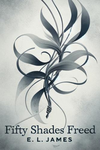 Buch Shades of Grey - Befreite Lust, Zusammenfassung (Fifty Shades Freed) auf Englisch