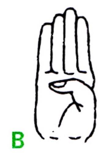 B