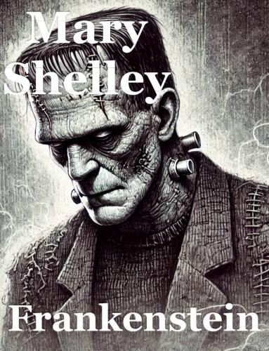 Book Frankenstein, summary (Frankenstein) in Norwegian