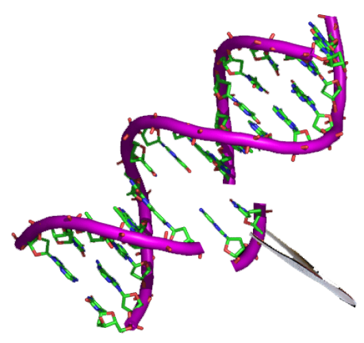 Alimento geneticamente modificado