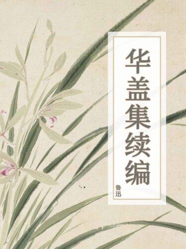 Livre Suite du recueil 'Huagai' (华盖集续编) en chinois