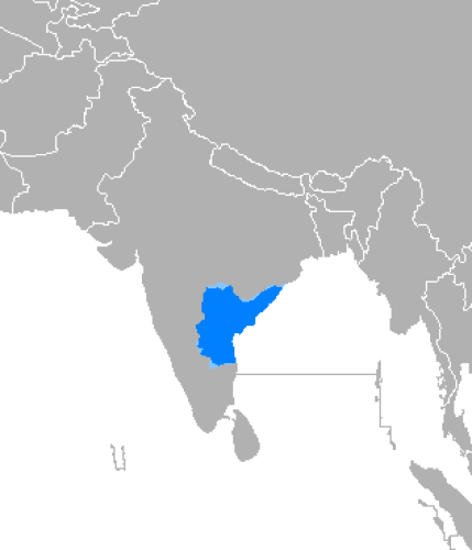 Język telugu