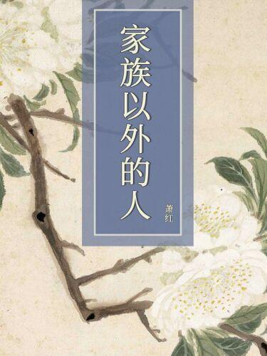 Book People Outside the Family (家族以外的人) in Chinese