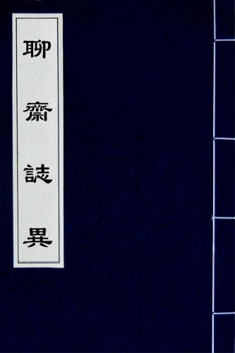 Book Strange Tales from a Chinese Studio (聊齋誌異) in Chinese
