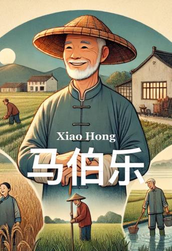 Libro Ma Bole, resumen (马伯乐) en chino
