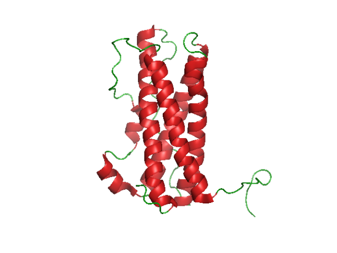 Prolactina