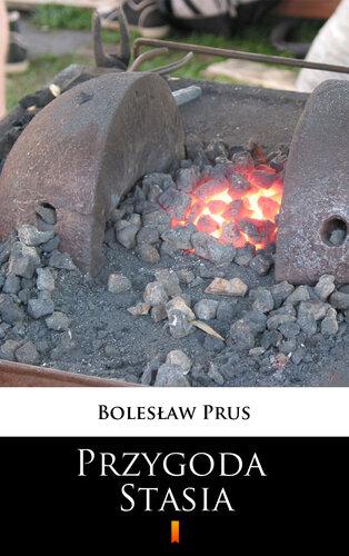 Buch Abenteuer von Stas (Przygoda Stasia) auf Polish