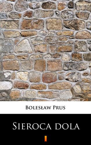 Buch Das Schicksal eines Waisenkindes (Sieroca dola) auf Polish