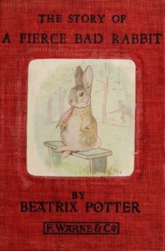 Książka Historia o straszliwie złym króliku (The Story of a Fierce Bad Rabbit) po angielsku