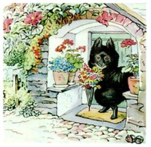 Buch Die Geschichte von der Pie und dem Patty-Pfännchen (The Tale of the Pie and the Patty Pan) auf Englisch