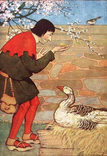 La gallina dalle uova d'oro